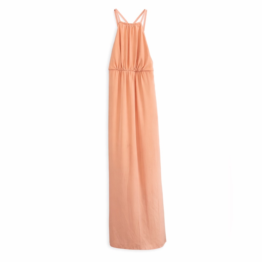Show Me You Mumu Light Pink Chiffon Lined Maxi Dress, Low Back